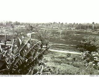 NEW IRELAND, 1945-10. GENERAL VIEW OF CULTIVATED FIELDS NEAR KAVIENG. (RNZAF OFFICIAL PHOTOGRAPH.)