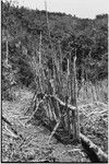 Wanuma-Kurum: garden fence being built