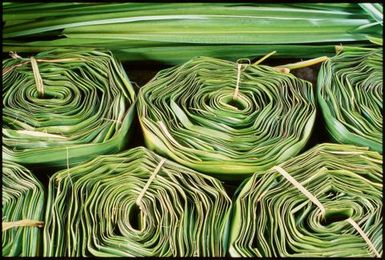 Rolled pandanus leaves, Fusi, Upolu, Samoa