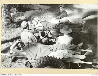 1943-01-08. STRETCHER CASES BEING TAKEN TO THE BASE BY JEEP, ONE OF MANY USES TO WHICH THESE SPLENDID LIGHT CARS HAVE BEEN PUT IN NEW GUINEA. (NEGATIVE BY G. SILK)