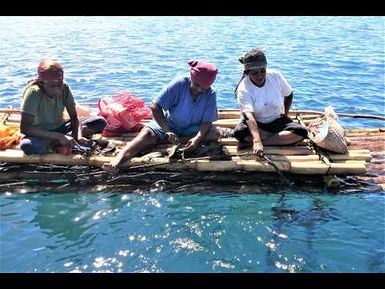 Component 3: Blue Financing Function for Sustainable Ocean Investment