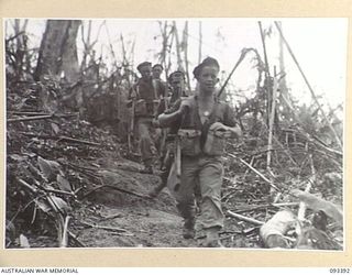 BERRY'S HILL, CENTRAL BOUGAINVILLE, 1945-06-27. A PATROL OF 7 INFANTRY BATTALION DESCENDING BERRY'S HILL ON THE FIRST LEG OF THE MOVE TO WEARNE'S HILL