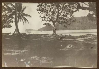 Foreshore and bay. From the album: Samoa