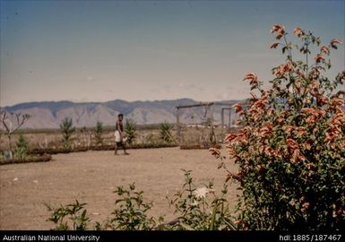 Goroka: Hotel garden