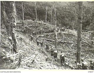 BOUGAINVILLE ISLAND. 1944-12-30. TROOPS OF D COMPANY, 25TH INFANTRY BATTALION MOVING ALONG THE TRACK BETWEEN ARTILLERY HILL AND LITTLE GEORGE HILL DURING THE AUSTRALIAN ATTACK ON JAPANESE POSITIONS ..