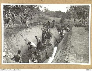 PORT MORESBY, NEW GUINEA. 1943-06-26. NEW GUINEA NATIVES WORKING UNDER THE DIRECTION OF THE 2/7TH AUSTRALIAN ANTI-MALARIAL CONTROL UNIT, DIGGING A CHAIN TO DRAIN A SWAMP NEAR PORT MORESBY