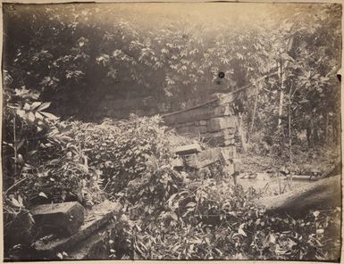 Ruins at Pohnpei, 1886