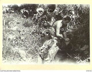 BOUGAINVILLE ISLAND. 1945-02-17. TROOPS OF THE 9TH INFANTRY BATTALION TAKING ADVANTAGE OF A LULL IN THE FIGHTING TO WASH THEIR CLOTHES IN A MOUNTAIN STREAM