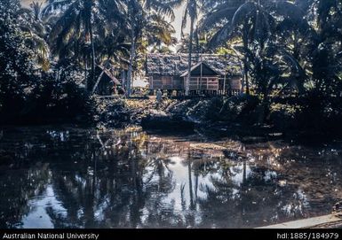 Kunos, Kavieng