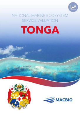 National marine ecosystem service valuation: Tonga