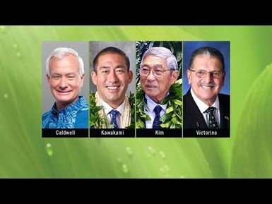 The Mayors | Insights on PBS Hawai'i