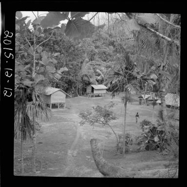 Bougainville Island