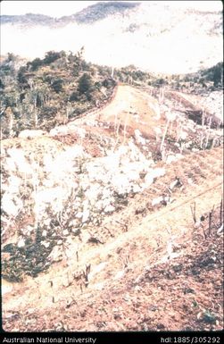 Valley side agriculture near Baliem