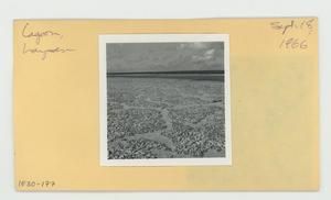 [Lagoon in Hawaii, envelope IE30-177]
