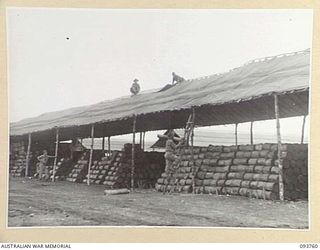 CAPE WOM, WEWAK AREA, NEW GUINEA, 1945-07-02. THE ROOFING BEING COMPLETED ON A DRIED FRUIT STORE SHED AT 2/22 SUPPLY DEPOT PLATOON. THE ERECTION OF THIS SHED WAS COMMENCED 4 DAYS AGO