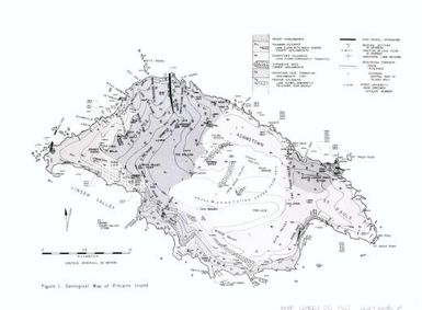 The geology of Pitcairn Island, South Pacific Ocean / R.M. Carter