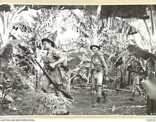 PAPUA, NEW GUINEA. 1942-07. MEMBERS OF AN AUSTRALIAN INFANTRY MOVING THROUGH A BANANA PLANTATION. SCOUTS KEEP A SHARP LOOK-OUT FOR SIGNS OF JAPANESE IN THESE DENSE AREAS