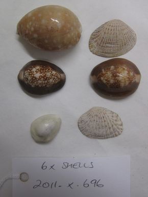 shells