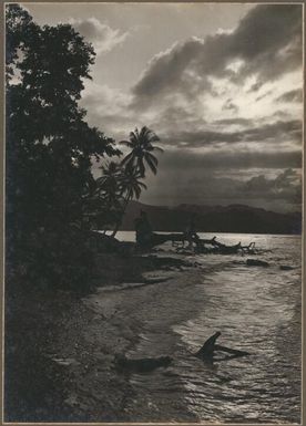 Coast scene, Collingwood Bay, [1] / Frank Hurley