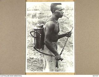 DUMPU, NEW GUINEA. 1943-12-06. A NATIVE EMPLOYED BY THE 18TH AUSTRALIAN ANTI-MALARIAL CONTROL UNIT EQUIPPED WITH HIS KNAPSACK SPRAY UNIT IN READINESS FOR SPRAYING POOLS OF WATER WHERE MOSQUITOES ..