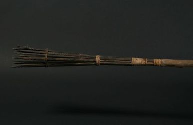 Tao (fishing spear)