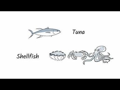 Visualisation of Climate Change Impacts to Pacific Fisheries - Long video without subtitles