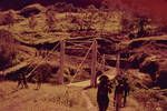 Steel cable suspension bridge, over Lae River, [Papua New Guinea], 1962