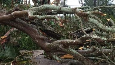 Tongans rebuild lives and houses after Cyclone Gita