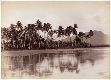 Near Apia, Samoa