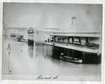 View of flooded Edward Street, Brisbane, Feb 1893