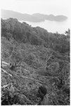 Sinalagu Harbour coastal slopes on way back to Ngarinaasuru