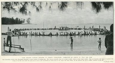 Cook Islands natives engaged in fishing operations: formation of circle to trap the fish