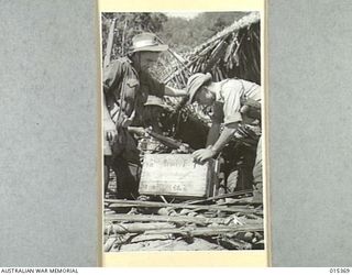 1943-07-31. ALLIED CAPTURE OF MUBO. PTE. ARTHUR BELL, OF OLINDA, VIC., PTE. LES CHAPLIN, OF HAYFIELD, VIC., AND CAPT. CLARK SPURLOCK, OF PORTLAND, OREGON EXAMINING JAP EQUIPMENT TAKEN FROM A HUT ..