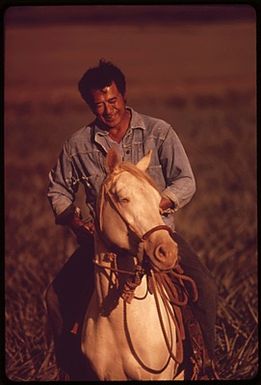 WITH PINEAPPLE FIELDS AS HIS ARENA, HENRI AKI TAKES HIS HORSE FOR A LATE AFTERNOON TRAINING SESSION NEAR LANAI CITY. PINEAPPLE GROWING TAKES UP 16,000 ACRES OF THE ISLANDS TERRITORY