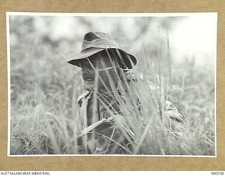 DONADABU AREA, NEW GUINEA. 1943-11-30. NX13992 CAPTAIN C. C. LEVICK, FORWARD OBSERVATION OFFICER OF NO 7 PLATOON, 2/4TH AUSTRALIAN FIELD REGIMENT DURING THE COMBINED MANOEUVRES WITH THE 2/10TH ..