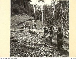 WAMPIT, NEW GUINEA. 1944-03-02. THE ROAD THROUGH A CLEARING ABOUT 71 MILES FROM WAU, ON THE WAU - LAE SECTION. THE NATIVES ARE CARRYING STORES FOR HEADQUARTERS, COMMANDER ROYAL ENGINEERS (A.I.F.)