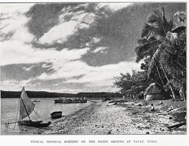 Typical tropical scenery on the picnic ground at Vavau, Tonga