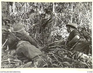 1942-12-28. PAPUA, GIROPA POINT AREA. AUSTRALIAN INFANTRYMEN WAIT WHILST AUSTRALIAN TANKS FORGE AHEAD AGAINST A CHAIN OF HEAVILY FORTIFIED JAPANESE PILLBOXES. THIS PHOTOGRAPH WAS TAKEN DURING THE ..