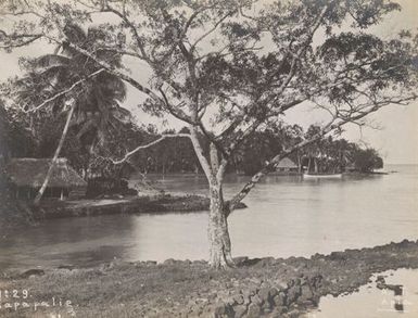 Sapapaliʻi village. From the album: Photographs of Apia, Samoa