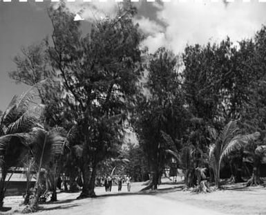 Naval Personnel Walk Along the Road at Camp Dealey