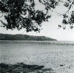 Seaside at low tide, Touho (east coast of Grande terre)