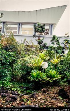 New Caledonia - garden, concrete building