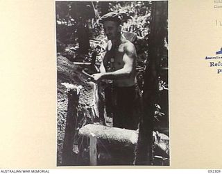 BOUGAINVILLE, 1945-05-18. PRIVATE A.M. AUBURN, 57/60 INFANTRY BATTALION, DRIVING IN A STAKE TO HOLD LOGGING IN POSITION FOR PROTECTION AGAINST JAPANESE ARTILLERY. THE COMPANY POSITION IS NEAR THE ..
