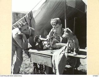 WAU, NEW GUINEA, 1944-02-20. S41162 PRIVATE WINCKEL (1), PICTURED WITH S110027 PRIVATE LAYMAN (2), AND "SPORTY" (3), AT THE AUSTRALIAN RECEPTION CAMP. REPAIRED BY THE CAMP STAFF, THIS SEWING ..