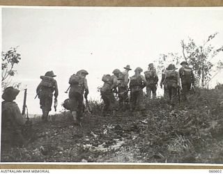 SATTELBERG AREA, NEW GUINEA. 1943-11-17. TROOPS OF THE 2/48TH AUSTRALIAN INFANTRY BATTALION READY TO MOVE OVER THE TOP TO ATTACK JAPANESE POSITIONS AT SATTELBERG