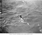 Lieutenant (jg) Burris D. LaMar directing divers to a coral head, Bikini Atoll, summer 1947