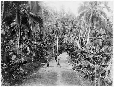 Apia, Samoa