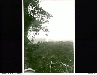 THE SOLOMON ISLANDS, 1945. VIEW FROM THE NUMA NUMA TRAIL ON BOUGAINVILLE ISLAND SHOWING THE TYPE OF TERRAIN ADJACENT TO THE TRAIL. (RNZAF OFFICIAL PHOTOGRAPH.)
