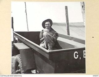 BORAM BEACH, WEWAK AREA, NEW GUINEA. 1945-08-31. CRAFTSMAN G.H. POPE, 2/41 LIGHT AID DETACHMENT, CORPS OF AUSTRALIAN ELECTRICAL AND MECHANICAL ENGINEERS, IN A JEEP TRAILER READING HIS MAIL