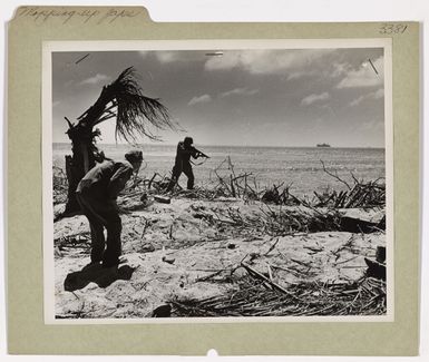 Photograph of Marines Stalking a Japanese Sniper at Eniwetok